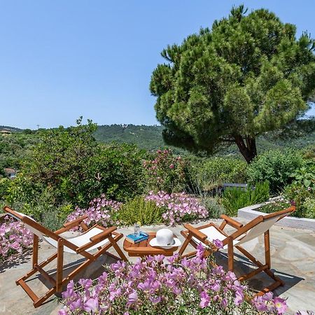 Villa Ambeli Skopelos Town Exterior photo