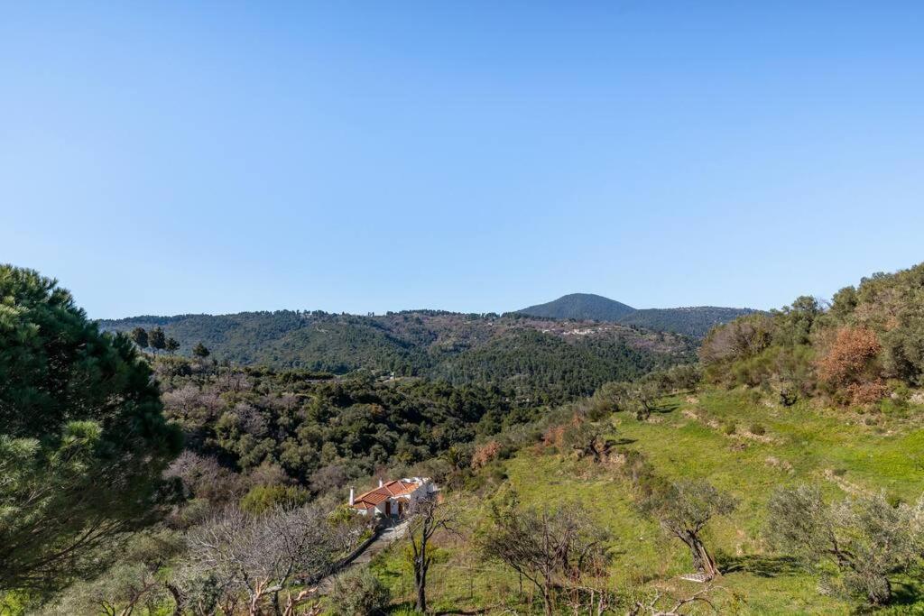 Villa Ambeli Skopelos Town Exterior photo