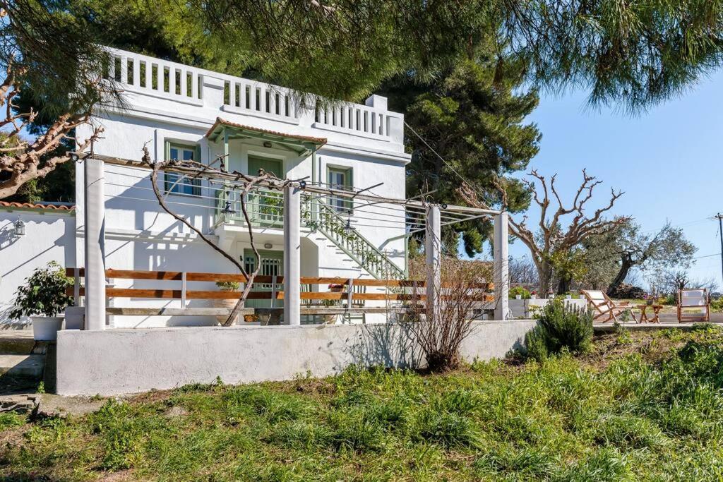 Villa Ambeli Skopelos Town Exterior photo